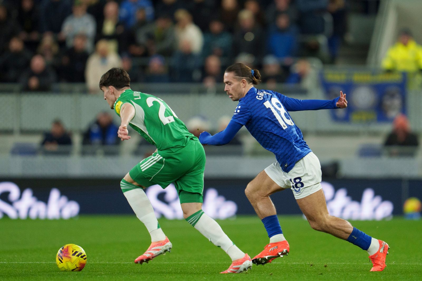 Everton Fall To Disappointing Newcastle Home Defeat